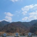 속초어명 이미지