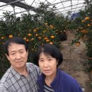 한밭농장 이미지