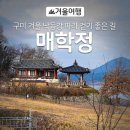 낙동강생태문화탐방로 | [구미겨울여행] 매학정 겨울 풍경 구미 걷기 좋은 길, 구미낙동강문화생태탐방로 강정습지로