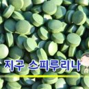 지구스피루리나 - 진주시 | 지구스피루리나