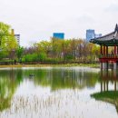 상림화원 | 도심 속 힐링 숲길, 대전 한밭수목원 완전 정복 가이드 (2025 최신)