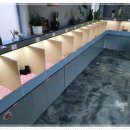 은아농장 이미지