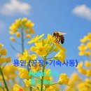 양지IC 이미지