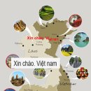 글로벌 행정사 사무소 이미지