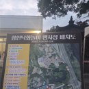 (주)기원농장 | 예약 없이 떠난 2026 함안낙화놀이, 석가탄신일 우연히 만난 인생 불꽃비 (명당/주차/유래 꿀팁)
