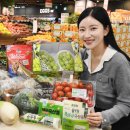 첨단기업5로1L-8 이미지