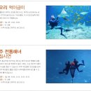 해우리펜션 | 모녀제주버스여행 * (3일차) 아쿠아플라넷 제주 - 섭지코지 근처 ! 전통해녀물질 시연장면을 볼 수 있는...