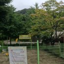 [제천 캠핑장] 시원한 바람과 계곡 소리가 좋은, 덕동골오토캠핑장