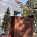 도영 농장 | 🍓36개월 아이랑 경주 도영농원 딸기체험 후기 달콤함이 폭발한 하루