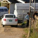 윤옥농장 이미지