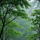 옥전자연휴양림 이미지