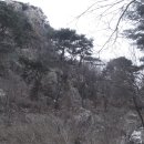 양평 백운봉 자연휴양림 이미지
