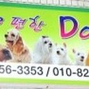 이편한도그 이미지