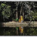 허니문 도어 이미지