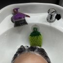 천연염색길 | 대전 도안동 염색방 큐사랑 천연미네랄 염색 두피 관리 후기