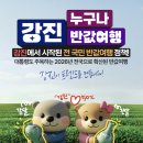 가우도 | 2026 강진반값여행 신청방법 가족여행후기 가우도 출렁다리 짚라인