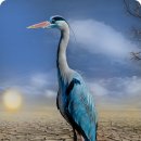 뉴브리튼 외국어 내포학원 | 표준 중국어의 역사와 특징은 무엇인가