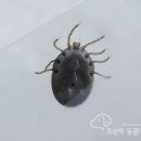 조앤박동물병원 네이버블로그