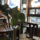 녹원약국 이미지