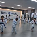 용인대열정태권도장 이미지