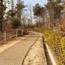 서천근린공원 이미지