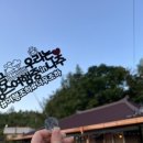 더마실(The마실) 이미지