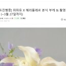 헤라결혼정보 이미지