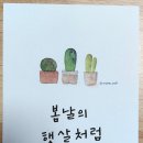 마음을 전하는 나만의 캘리그라피 이미지