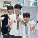 313 이미지