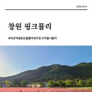 우산천 산책로 앞 횡단보도 하천쪽 | 경남 창원 핑크뮬리 마산 덕동맑은물플라워가든 가을나들이