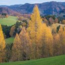 미소웰치과의원 이미지