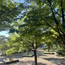 고양공원(배드민턴장 근처) 이미지