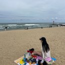 레드호스텔 | 1박2일,동부감자옹심이,레드망치,카페이진리,코와붕가...닭강정,마커스 호스텔 트윈룸,강릉 이모카세...