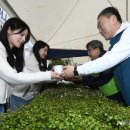 희망의 나무 이미지