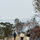 군위건어물 | 시니어파크골프단 생활 스포츠 겨울 운동 파크골프 즐기기 파크골프 겨울 여행 사천 모충 골프장