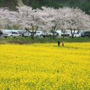 상맹방1리마을회관 네이버블로그