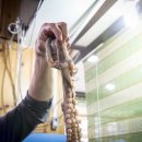 소죽도갯마을산낙지마당 이미지