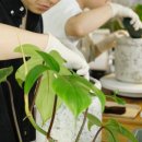피오앤스튜디오 이미지