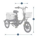 로드스타 이미지