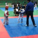 경희대라이언태권도 이미지