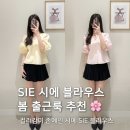 시에 SIE 르 셀리나 코튼 블라우스 S, M 비교 봄 출근룩 추천