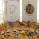 힐링꽃차 이미지