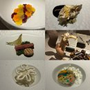 영유오감만족PG | 신혼여행 10일차 바르셀로나 맛집 캔 플라카 Can Placa, 미슐랭 2스타 싱크 성티츠 Cinc Sentis