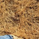 내판주유소 이미지