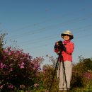 철탑목장 이미지