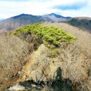 광양농협 앞 버스정류장 이미지