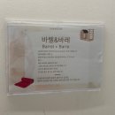 성신여대 더센트럴무브먼트 바레 체험 후기
