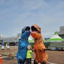 경주장 | 영암 국제자동차 경주장에서 모토조이 축제 실시간 후기