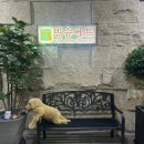 빈슈에뜨 이미지