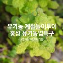 홍주농장 | 홍성 여행 유기농업특구 홍동에서 즐기는 미식투어 유기농 힐링여행
